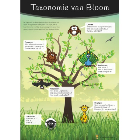 Poster Taxonomie van Bloom Poster Taxonomie van Bloom