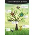 Poster Taxonomie van Bloom Poster Taxonomie van Bloom